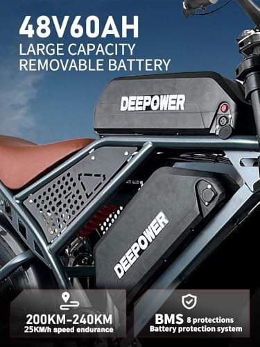 Electric Bike for Adults 1500W Peak 20" Fat Tire EBike G15512