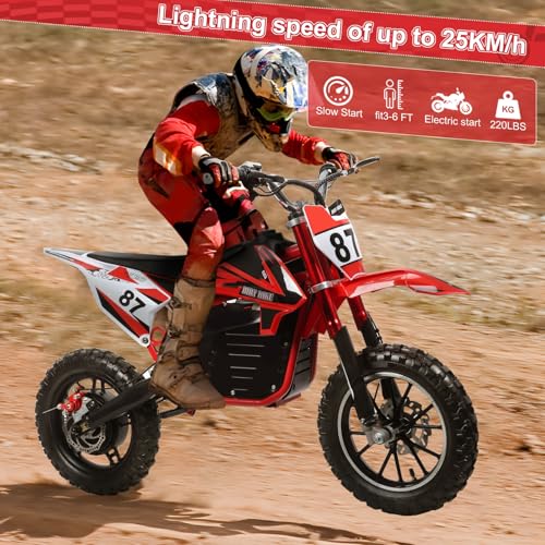 Electric Dirt Bike 36V 500W Off Road Mini Motocross for Teens Adults E684485