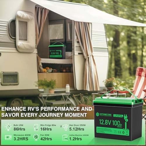 12V 100Ah LiFePO4 Lithium Battery with 100A BMS U8311