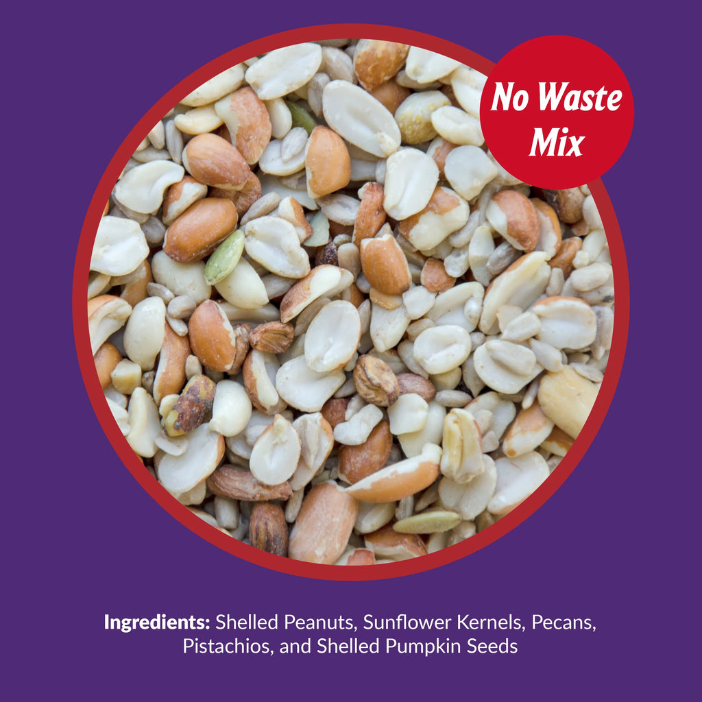 Lyric Delite Wild Bird Seed, No Waste Shell-Free Nuts & Seeds, 20 lb. Bag Q803048
