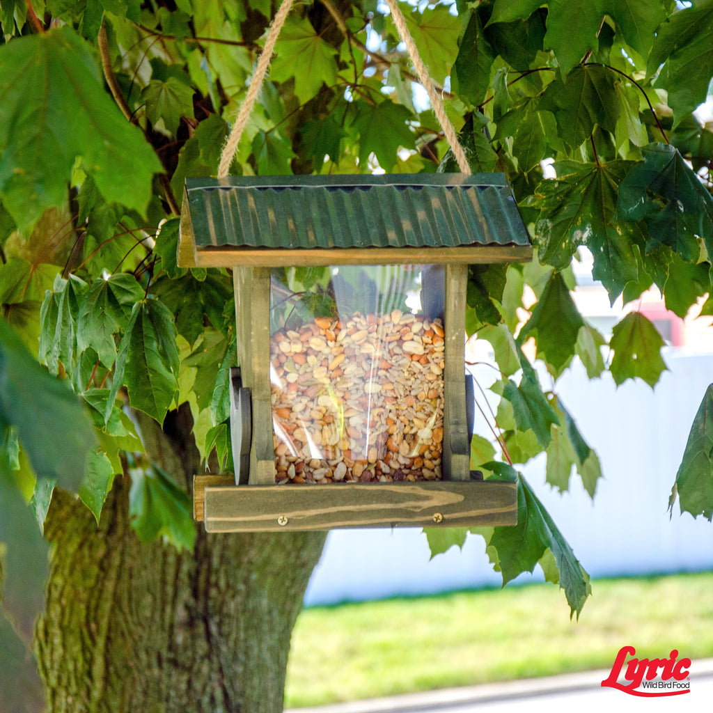 Lyric Delite Wild Bird Seed, No Waste Shell-Free Nuts & Seeds, 20 lb. Bag Q803048