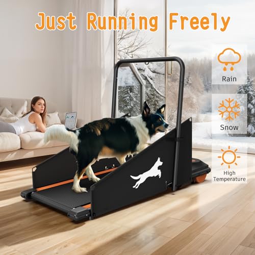 Dog Treadmill for Small & Medium Dogs with LCD Display K4230