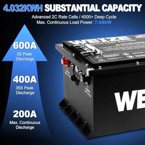 Weize 12V 100Ah LiFePO4 Lithium Battery with Smart BMS D8810