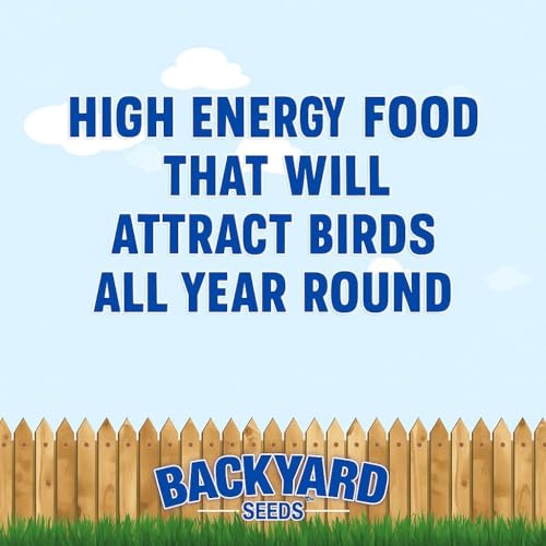 CountryMax Backyard Seeds Shelled Whole Peanuts for Birds & Wildlife, 10 lbs Bag H28185