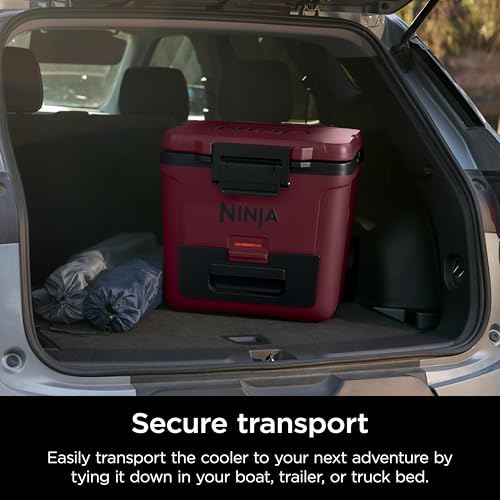 Ninja FrostVault 45QT Cooler with Wheels, Lakeshore Blue M1144