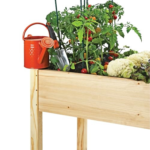 Raised Garden Bed with Legs 48x24x30 Natural Cedar Wood Elevated Planter Box O940090
