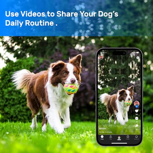 Dog GPS Tracker Waterproof Real-Time Location for Dogs 40 lbs+ (White) X621