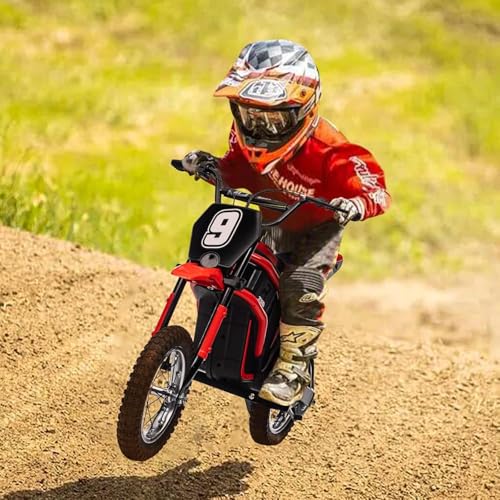 24V 350W Kids Electric Dirt Bike, 3-Speed, Off-Road Ride-On Motorcycle S465