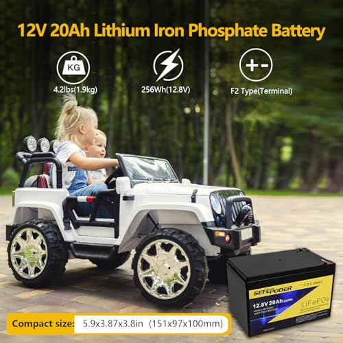 12V 20Ah LiFePO4 Deep Cycle Battery 2 Pack with 40A BMS X9348