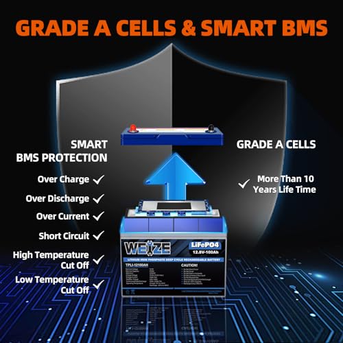 Weize 12V 100Ah LiFePO4 Lithium Battery with Smart BMS D8810