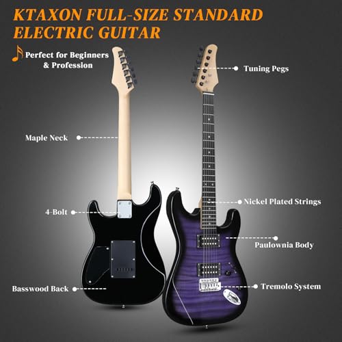 Ktaxon 39 Inch Electric Guitar Kit with 20W Amp, Bag, Strap, Cable, Accessories W1993