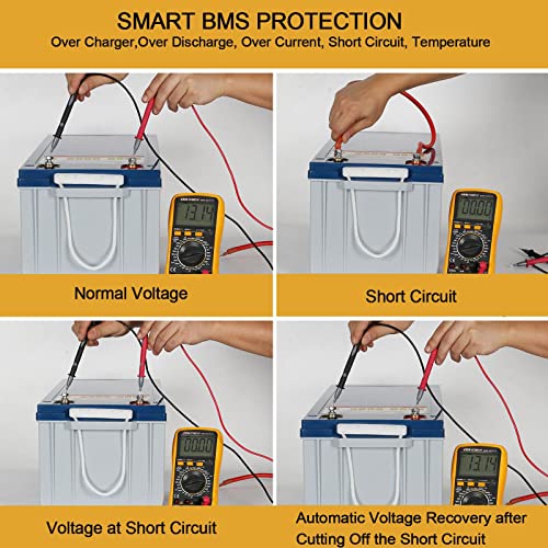 Weize 12V 100Ah LiFePO4 Lithium Battery with Smart BMS D8810