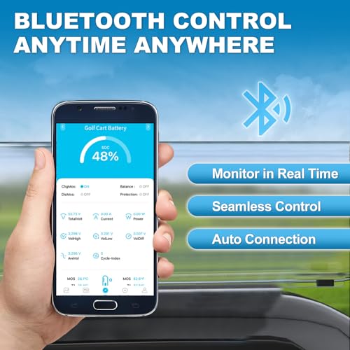 Weize 12V 100Ah LiFePO4 Lithium Battery with Smart BMS D8810