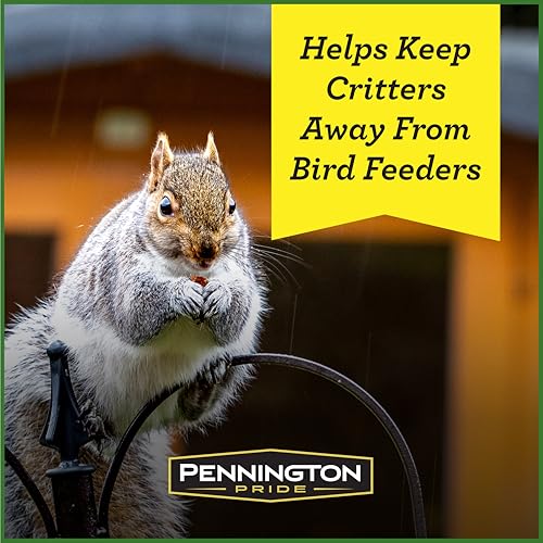 Pennington Pride Squirrel & Critter Blend with Corn, Sunflower Seeds and Peanuts, 10-lb Bag U96506