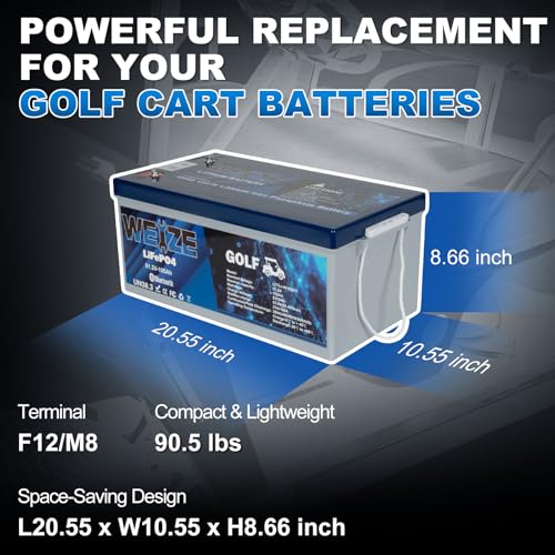 Weize 12V 100Ah LiFePO4 Lithium Battery with Smart BMS D8810
