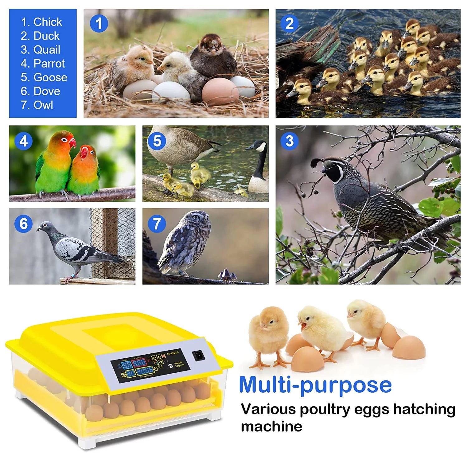 48 Egg Automatic Incubator with Temperature Control and Egg Turning U72330
