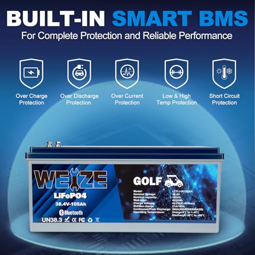 Weize 12V 100Ah LiFePO4 Lithium Battery with Smart BMS D8810