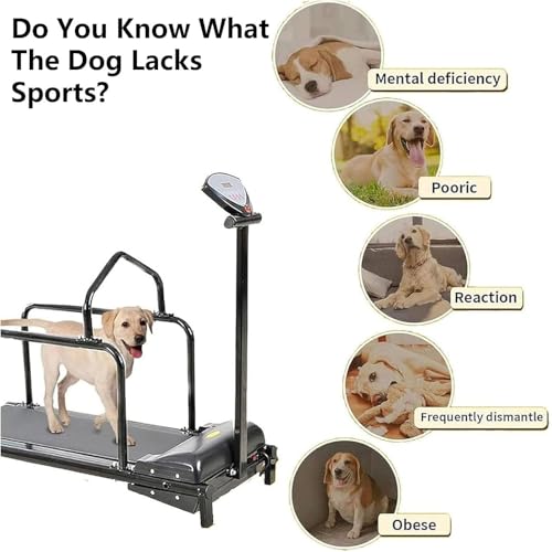 Dog Treadmill for Large Dogs, Pet Running Machine Indoor Exercise O8231