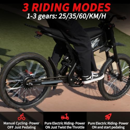 2000W/3000W GT73 Electric Dirt Bike for Adults, 25" Fat Tires, Dual Removable Battery T652