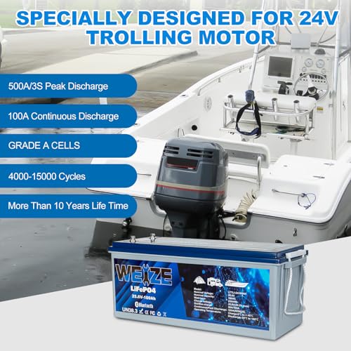 Weize 12V 100Ah LiFePO4 Lithium Battery with Smart BMS D8810