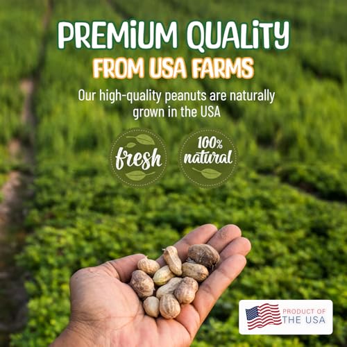 Raw Peanuts in Shell 50 lb for Wildlife, Grown in USA S61802