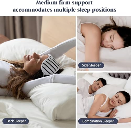 puredown® Goose Feathers and Down White Pillows King Size Set of 2 G471477
