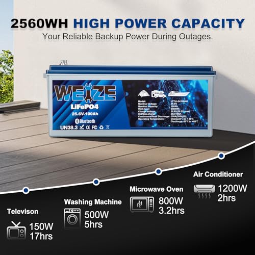 Weize 12V 100Ah LiFePO4 Lithium Battery with Smart BMS D8810