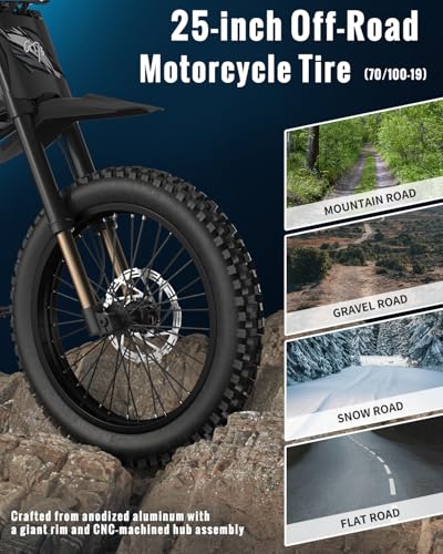 GT73 PRO Electric Dirt Bike for Adults, 60V 3000W, 85 Miles Range S333