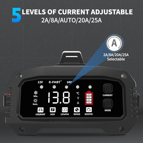 E-FAST 25A Battery Charger 12/24V LiFePO4 Lead Acid Car Battery Maintainer H400