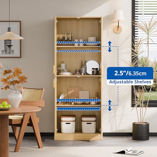 Cozy Castle 71" Tall Kitchen Pantry Cabinet with Doors and Shelves, Gray R70739