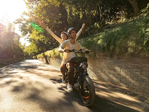 Peak 1000W Electric Mountain Bike for Adults, 20" Fat Tire, 48V 18.2AH W963