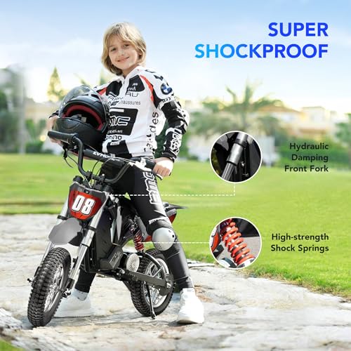 Kids Electric Dirt Bike 36V 350W, 16 MPH, Ages 5-8 C762