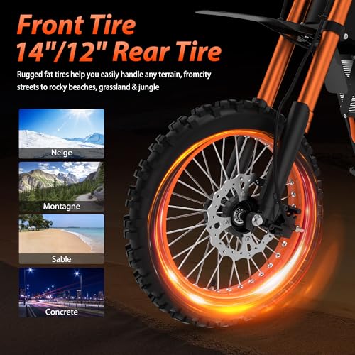 Electric Dirt Bike for Teens & Adults - 48V 21AH Fat Tire Off Road Mini E-Motocross B178