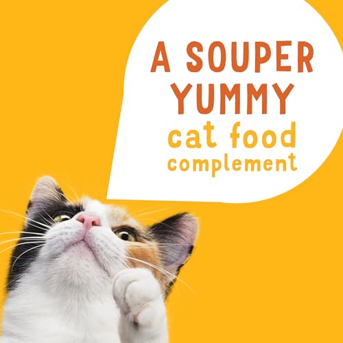 Purina Friskies Grain Free Lil' Soups Wet Cat Food Variety Pack, 30 Cups O934