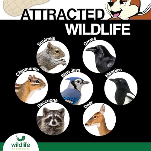 Peanut Party Raw in-Shell Peanuts Wildlife Animal Food, 25lb D103857