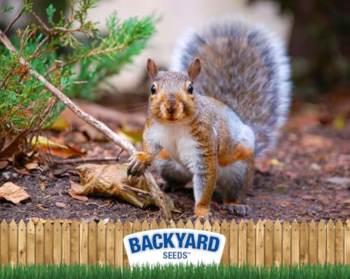 Backyard Seeds Squirrel & Chipmunk Food Mix – 8 lb Bag W532013