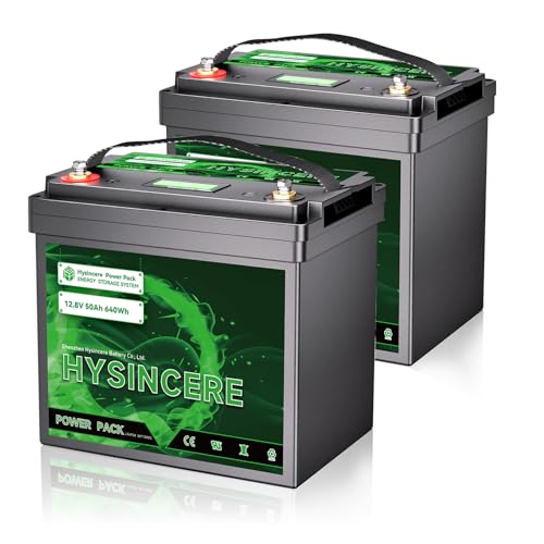 12V 100Ah LiFePO4 Lithium Battery with 100A BMS U8311