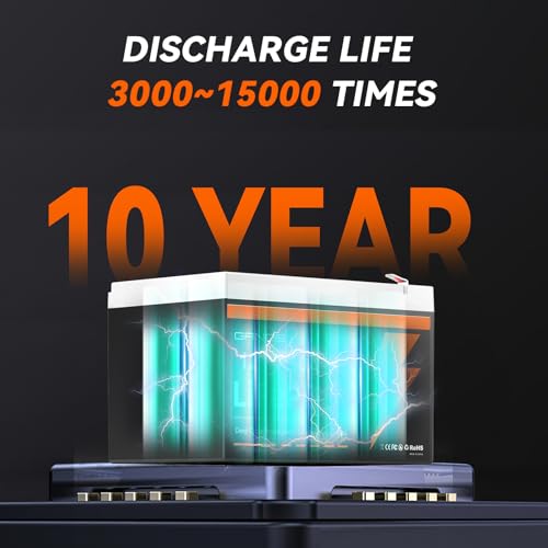 12V 25Ah LiFePO4 Battery with Built-in 20A BMS Q9551