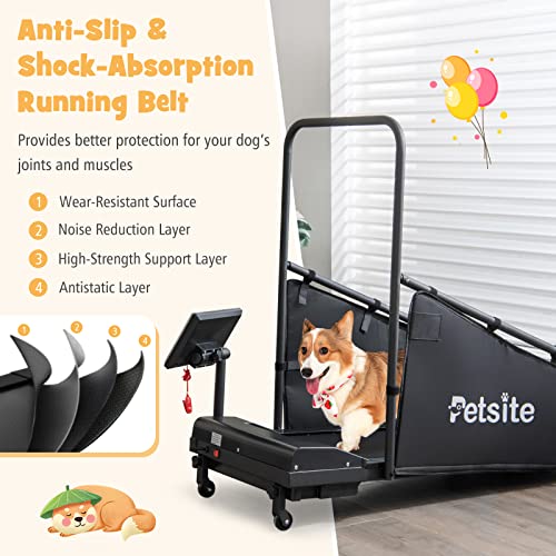 PETSITE Dog Treadmill for Small & Medium Dogs with LCD Display, 220 LBS N612