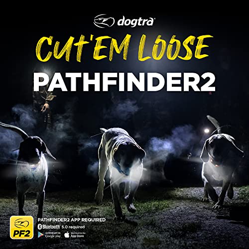 Dogtra Pathfinder 2 GPS Dog Tracker e Collar 9 Mile Range Waterproof Y2564