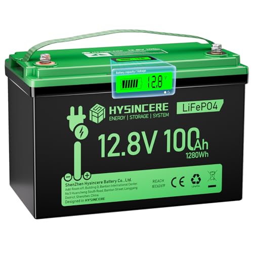 12V 100Ah LiFePO4 Lithium Battery with 100A BMS U8311