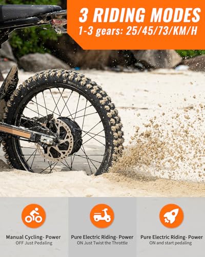 2000W/3000W GT73 Electric Dirt Bike for Adults, 25" Fat Tires, Dual Removable Battery T652