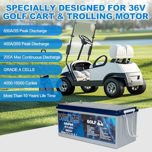 Weize 12V 100Ah LiFePO4 Lithium Battery with Smart BMS D8810