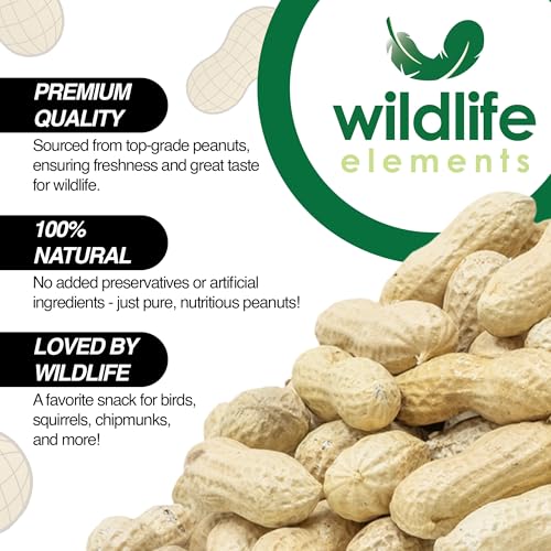 Peanut Party Raw in-Shell Peanuts Wildlife Animal Food, 25lb D103857