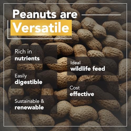 Wildlife Feed Raw Peanuts 50 LBS in-Shell for Squirrels Birds Deer Q98823