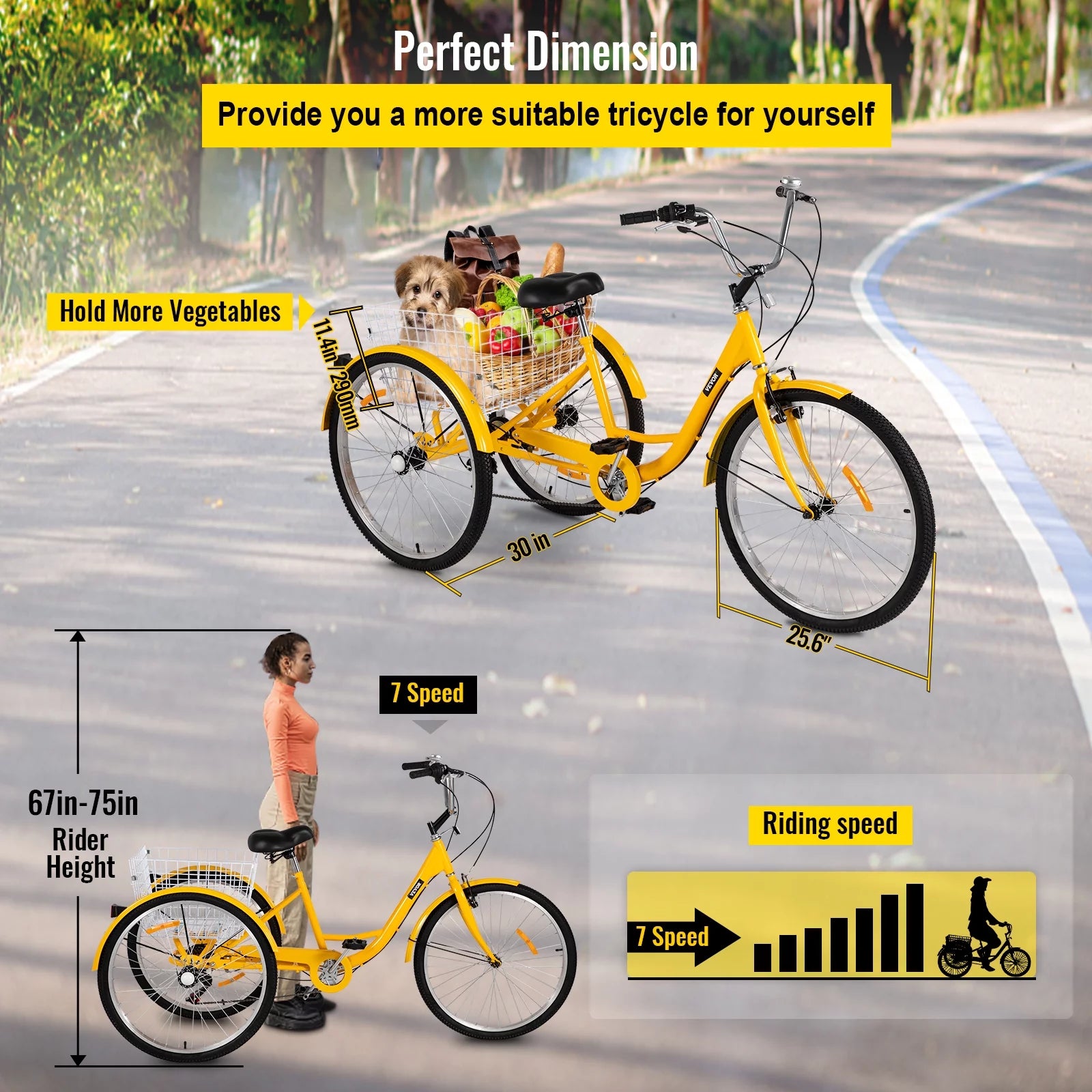 SKYSHALO Adult Tricycle 26in 7-Speed 3-Wheel Cruise Bike with Basket C45508