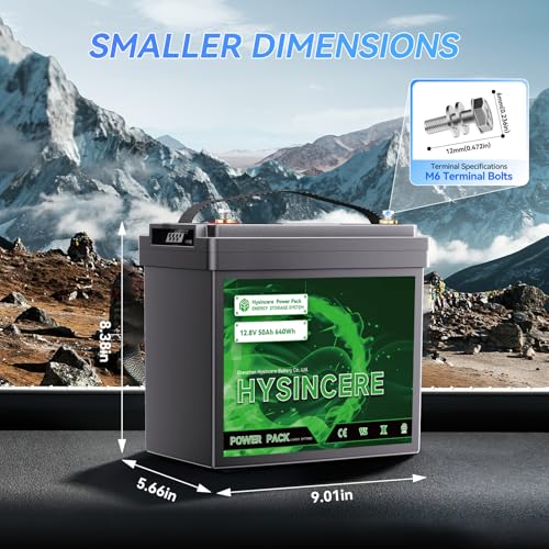 12V 100Ah LiFePO4 Lithium Battery with 100A BMS U8311