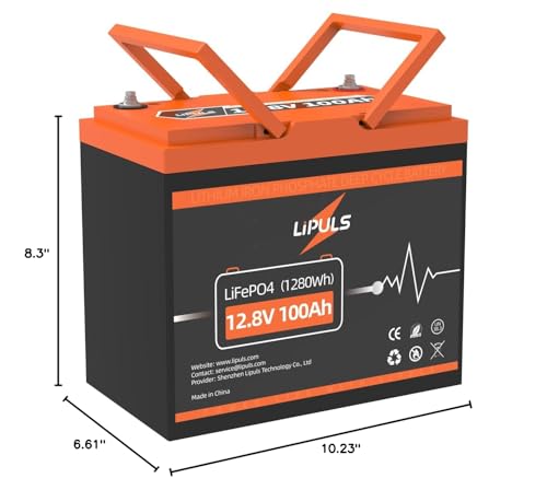 12.8V 100Ah LiFePO4 Battery, Group 24, Built-in 100A BMS L509