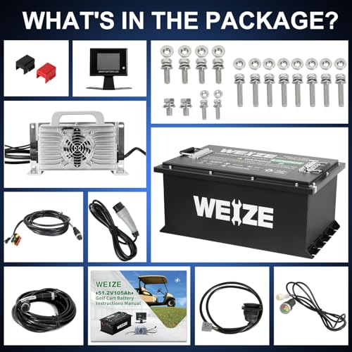 Weize 12V 100Ah LiFePO4 Lithium Battery with Smart BMS D8810