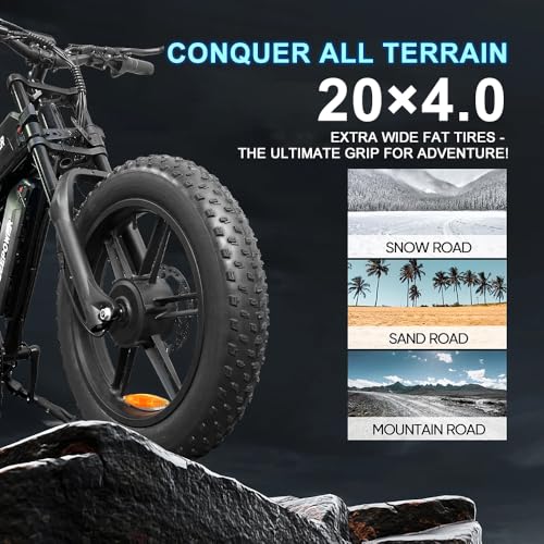 Electric Bike for Adults 1500W Peak 20" Fat Tire EBike G15512